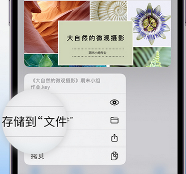 萝北apple维修中心分享iPhone文件应用中存储和找到下载文件