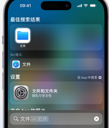 萝北apple维修中心分享iPhone文件应用中存储和找到下载文件 