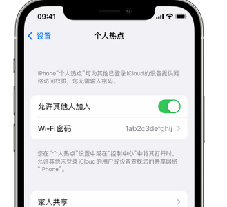 萝北apple服务站点分享iPhone上个人热点丢失了怎么办