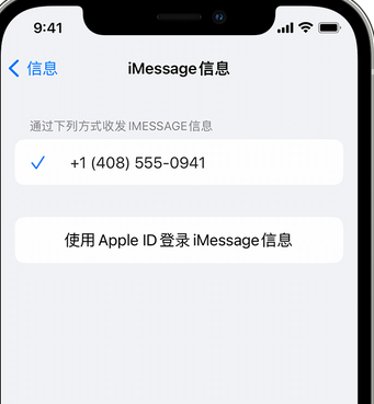 萝北apple维修iPhone上无法正常发送iMessage信息 