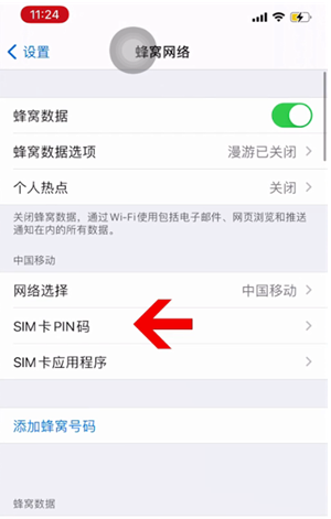 萝北苹果14维修网分享如何给iPhone14的SIM卡设置密码 