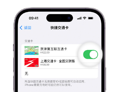 萝北apple维修点分享iPhone上更换Apple Pay快捷交通卡手绘卡面 