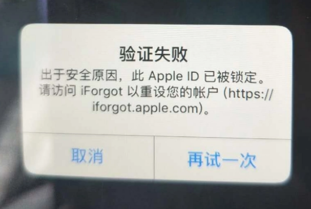 萝北iPhone维修分享iPhone上正常登录或使用AppleID怎么办 