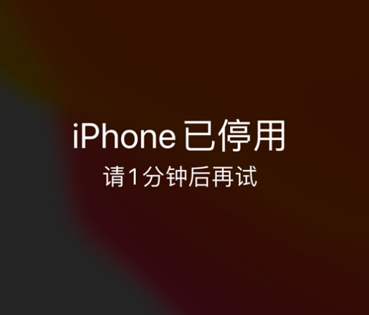 萝北苹果手机维修分享:iPhone 显示“不可用”或“已停用”怎么办？还能保留数据吗？ 