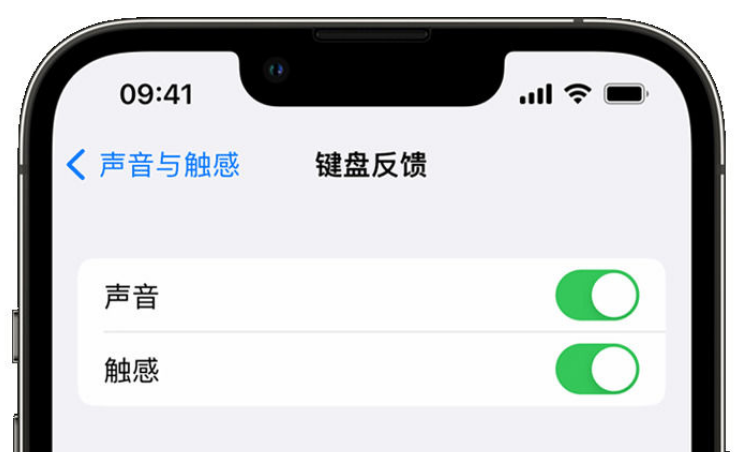 萝北苹果手机维修分享iPhone 14触感键盘使用方法 