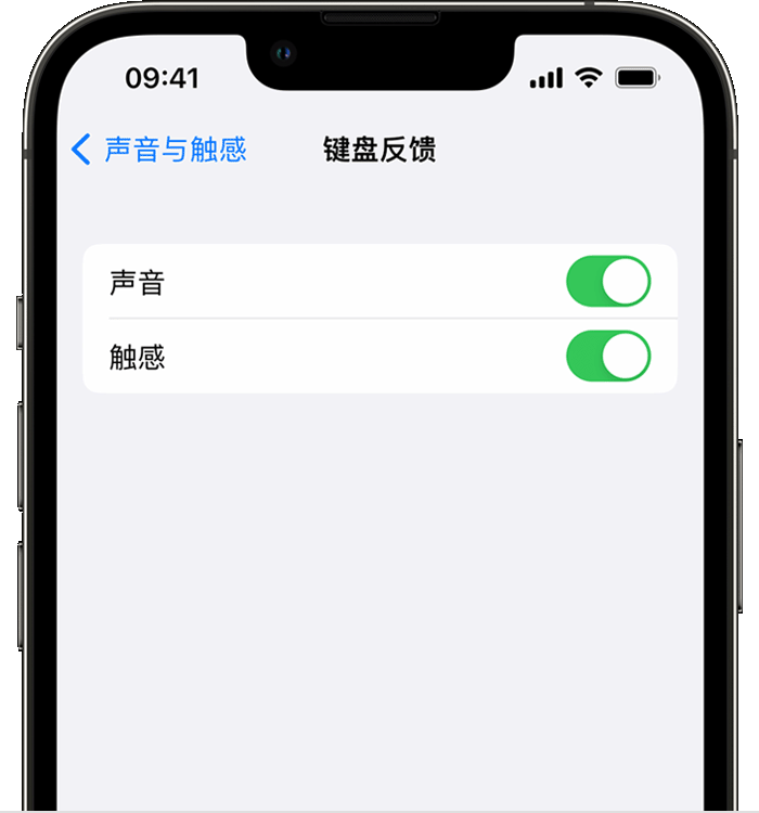 萝北苹果14维修店分享如何在 iPhone 14 机型中使用触感键盘 