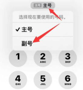 萝北苹果14维修店分享iPhone 14 Pro Max使用副卡打电话的方法 