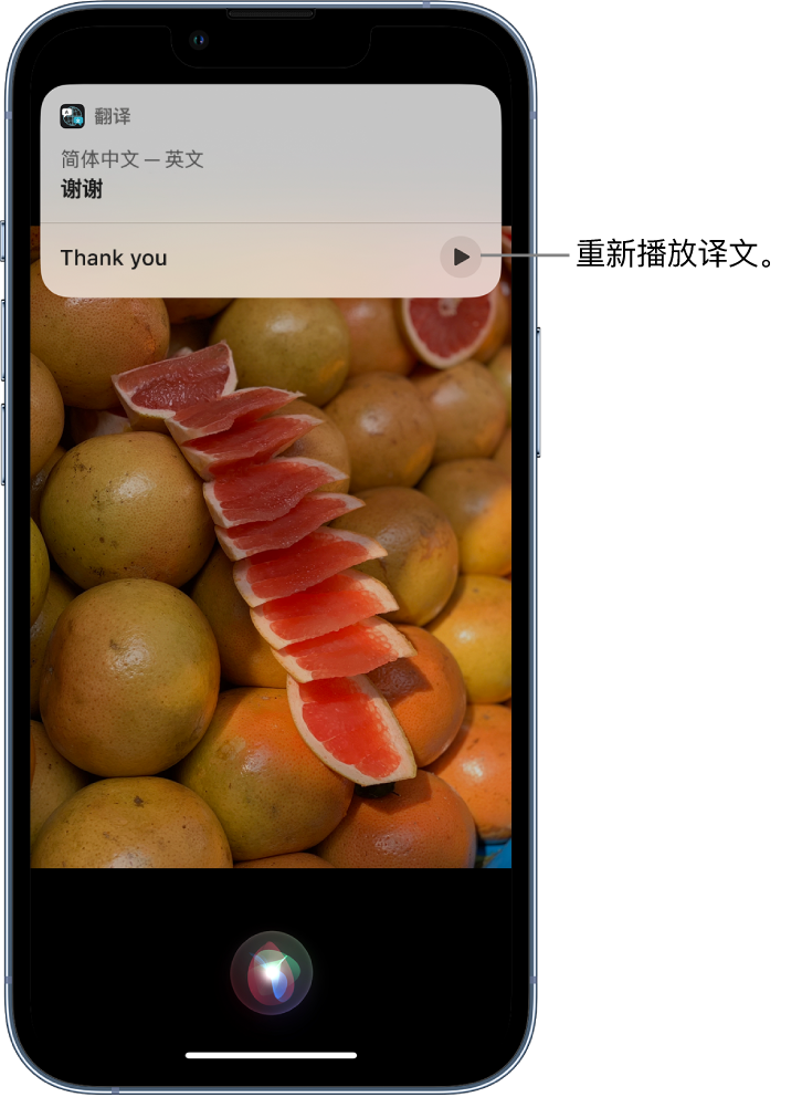 萝北苹果14维修分享 iPhone 14 机型中使用 Siri：了解 Siri 能帮你做什么 