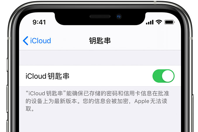 萝北苹果手机维修分享在 iPhone 上开启 iCloud 钥匙串之后会储存哪些信息 