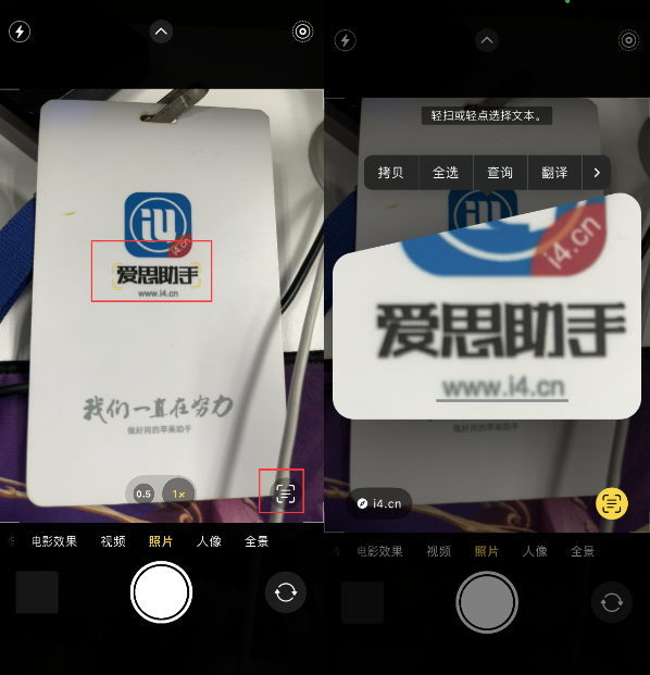 萝北苹果手机维修分享升级iOS 16后如何通过相机翻译文本 