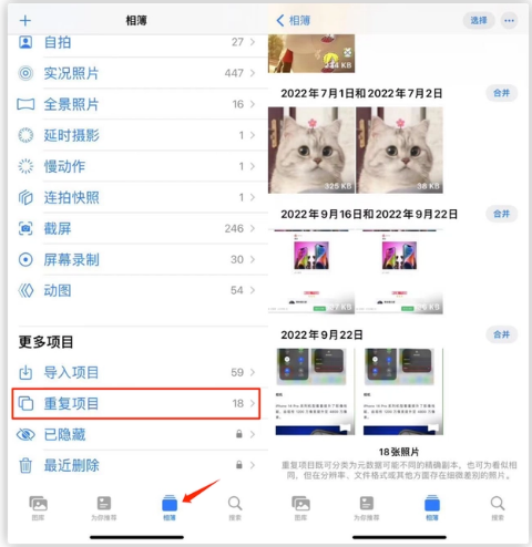 萝北苹果手机维修分享iOS 16 中相册重复项目功能使用方法 