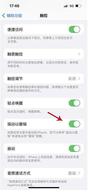 萝北苹果手机维修分享iPhone手机如何设置摇一摇删除文字 