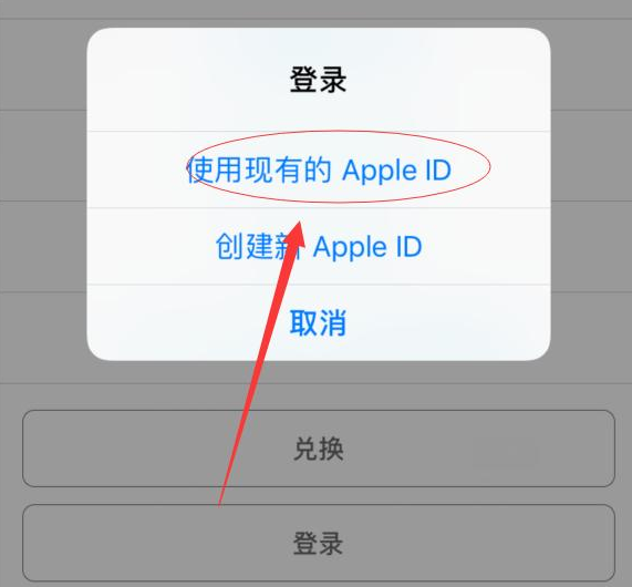 萝北苹果手机维修分享两台iPhone设备可以同时登录一个Apple ID吗 