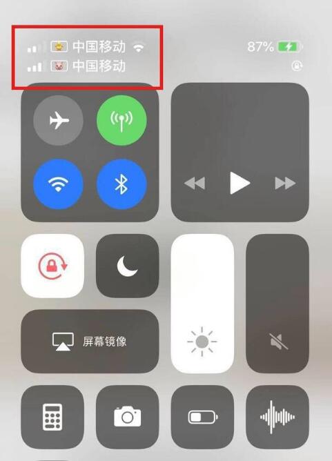 萝北苹果手机维修分享为 iPhone 12 双卡设置标签 