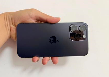 萝北苹果维修点分享iPhone 14 Pro Max黑屏少见故障盘点 
